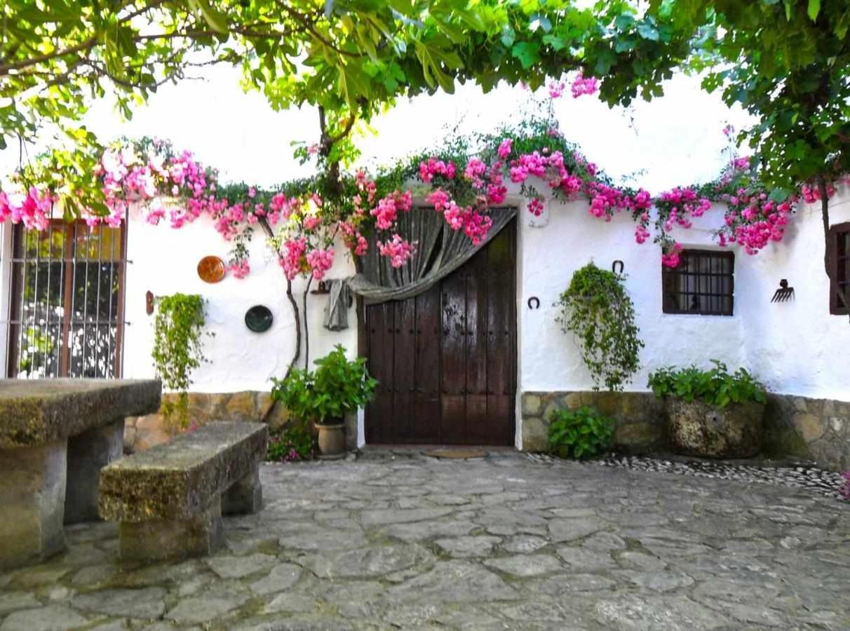 Cortijo La Gineta Guest House Alcala La Real Exterior photo