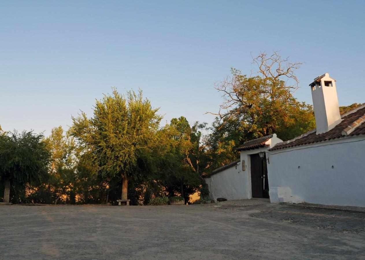Cortijo La Gineta Guest House Alcala La Real Exterior photo