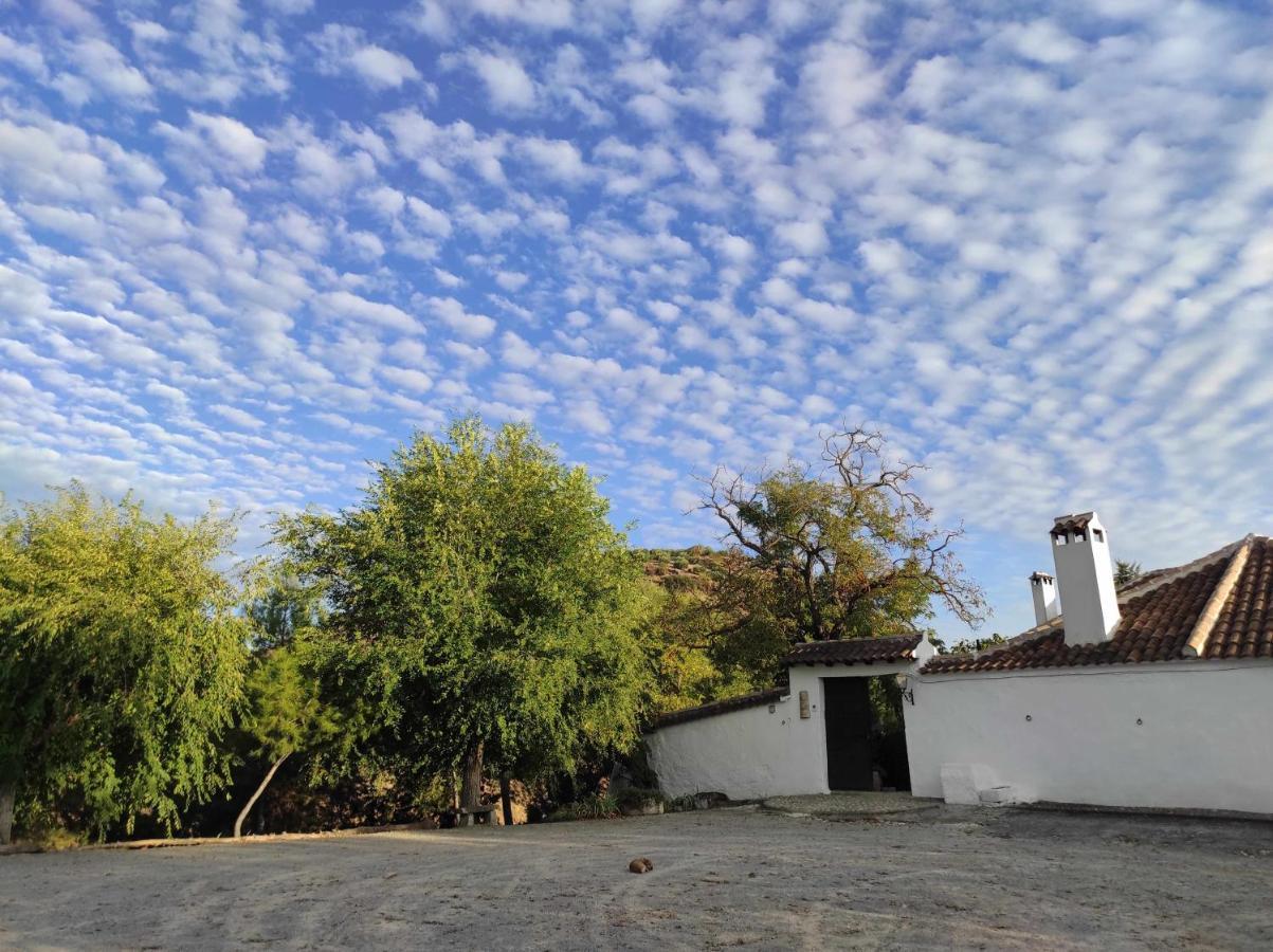 Cortijo La Gineta Guest House Alcala La Real Exterior photo